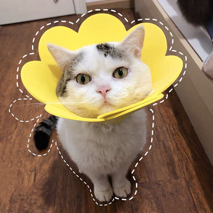 Migrino 3Pcs Cat Collar Elizabethan Anti-licking Headgear