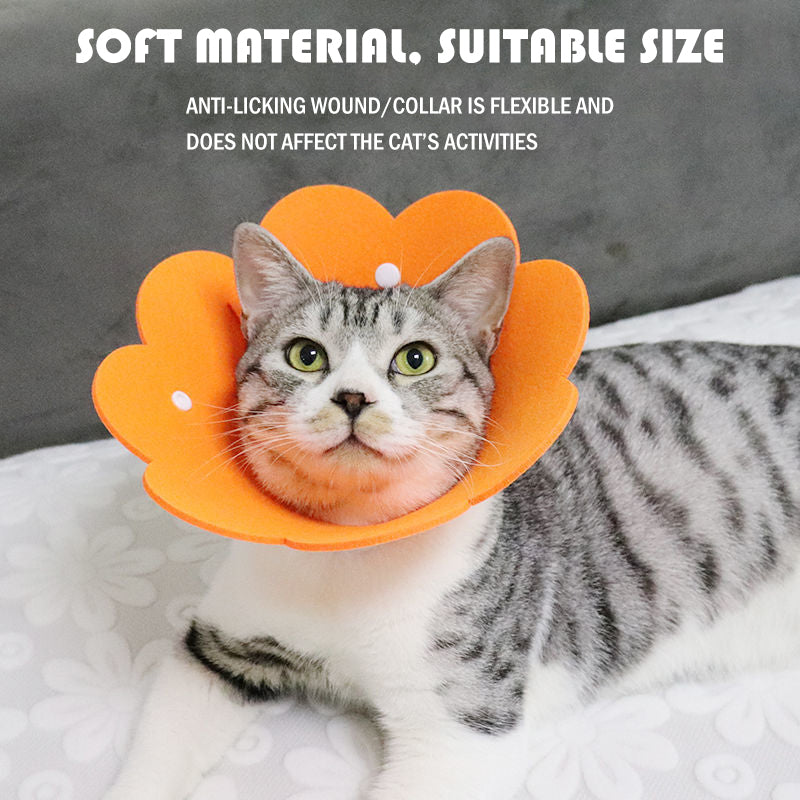 Migrino 3Pcs Cat Collar Elizabethan Anti-licking Headgear