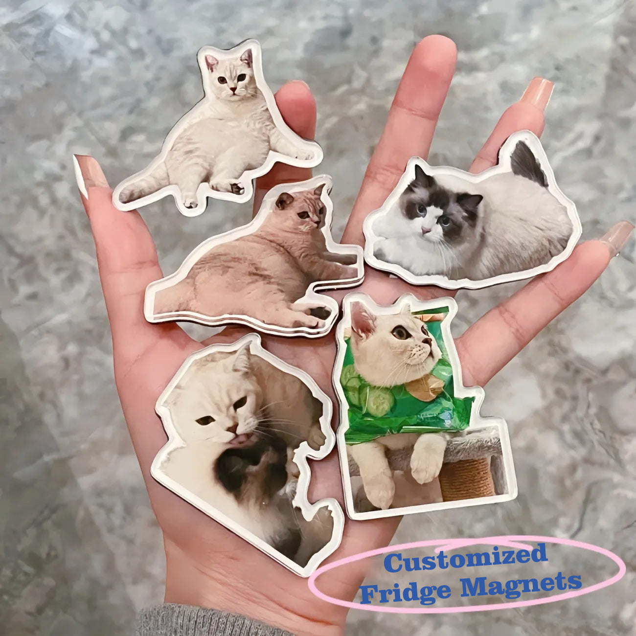 Migrino Custom Refrigerator Magnets Creative Cat Dog head Magnets Funny