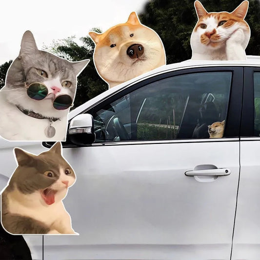 Migrino Funny Stickers Cat Dog Expression Pack Car Window Stickers